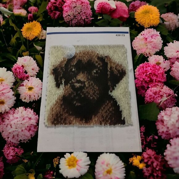 Wonderart Chocolate Lab Latch Hook Rug Kit Dog Pillow 12 x 12 NEW Open Box Caron - Picture 1 of 15